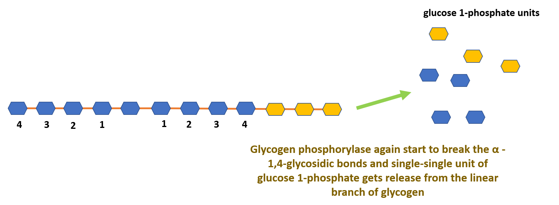 limitdextrin