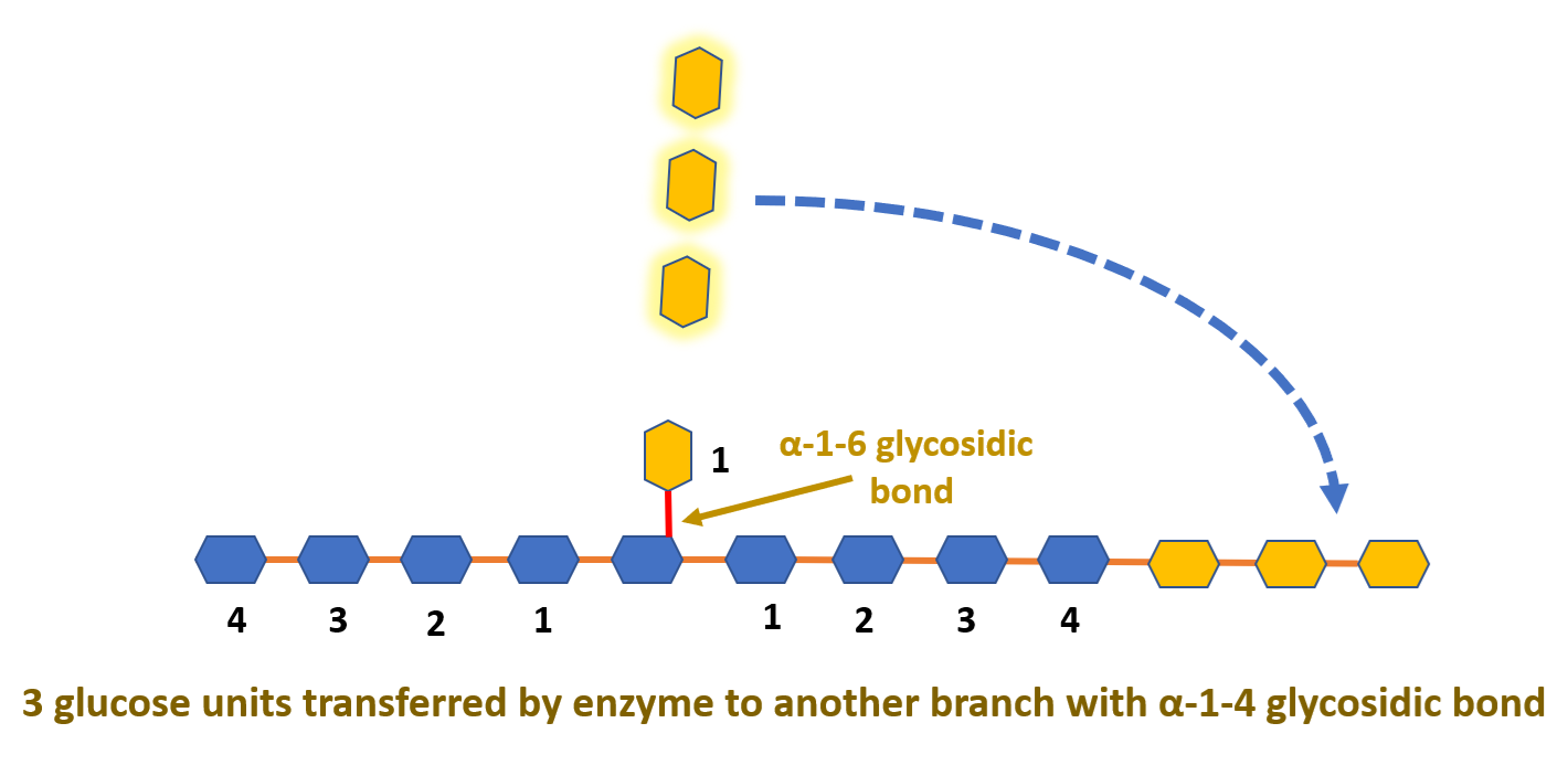 limitdextrin