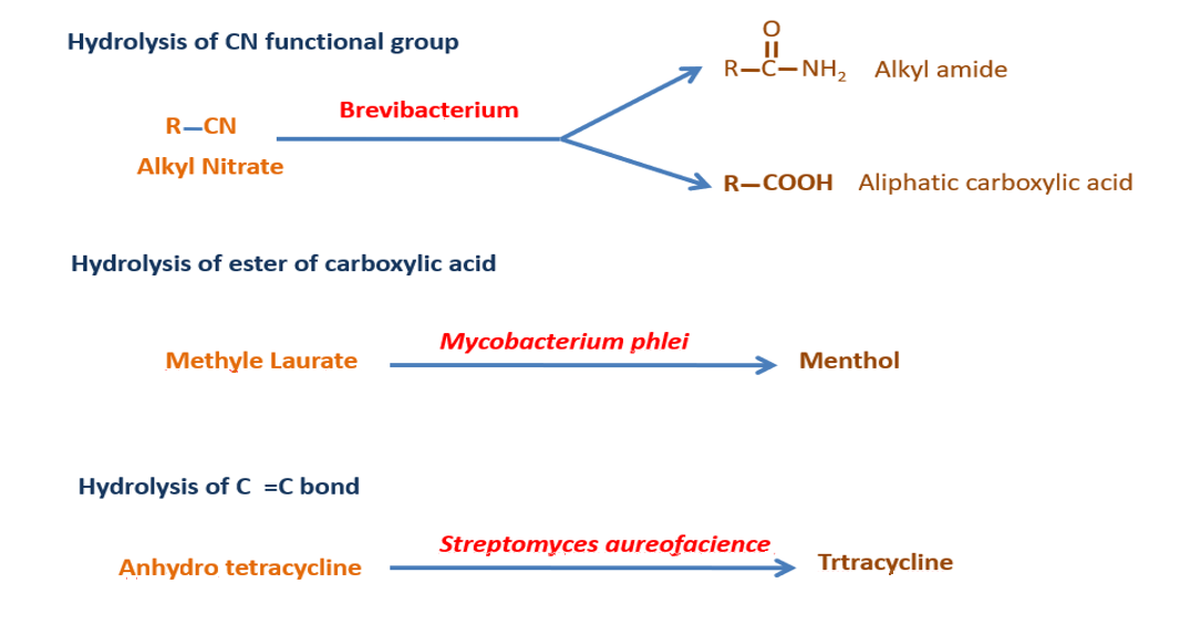 hydrolysis