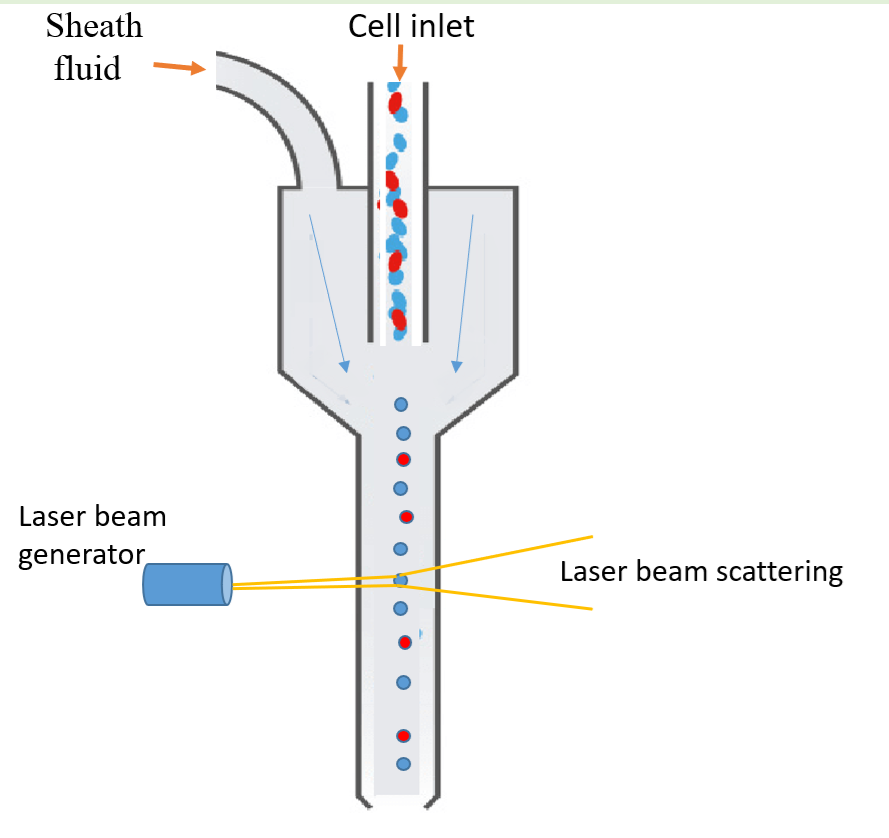 Flow cytometer