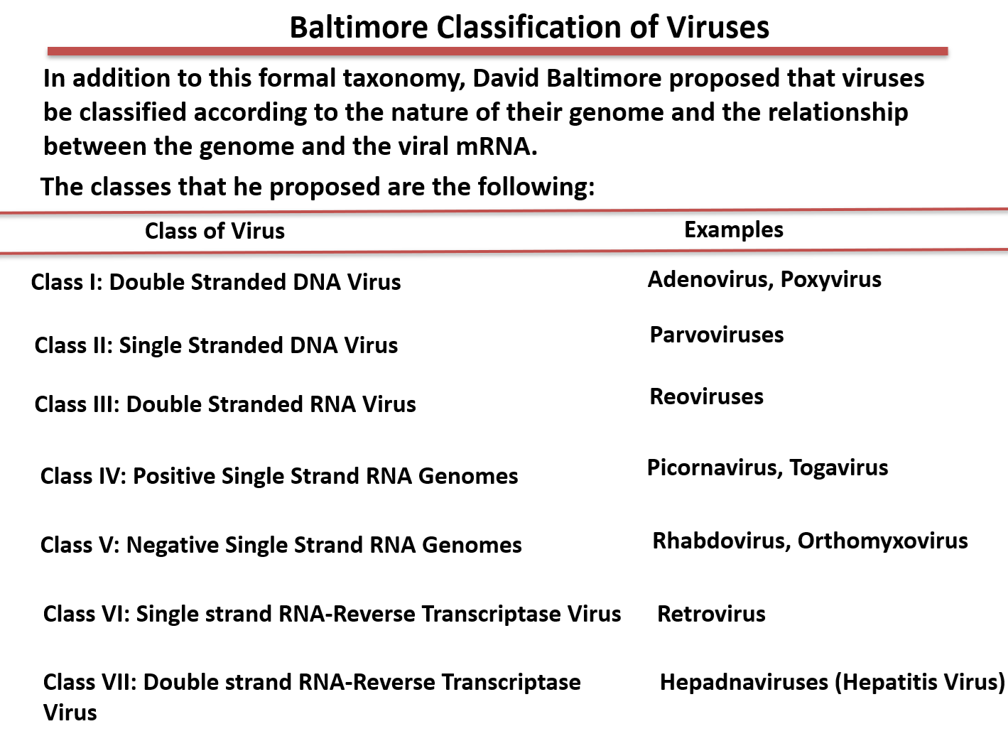 Baltimore classification